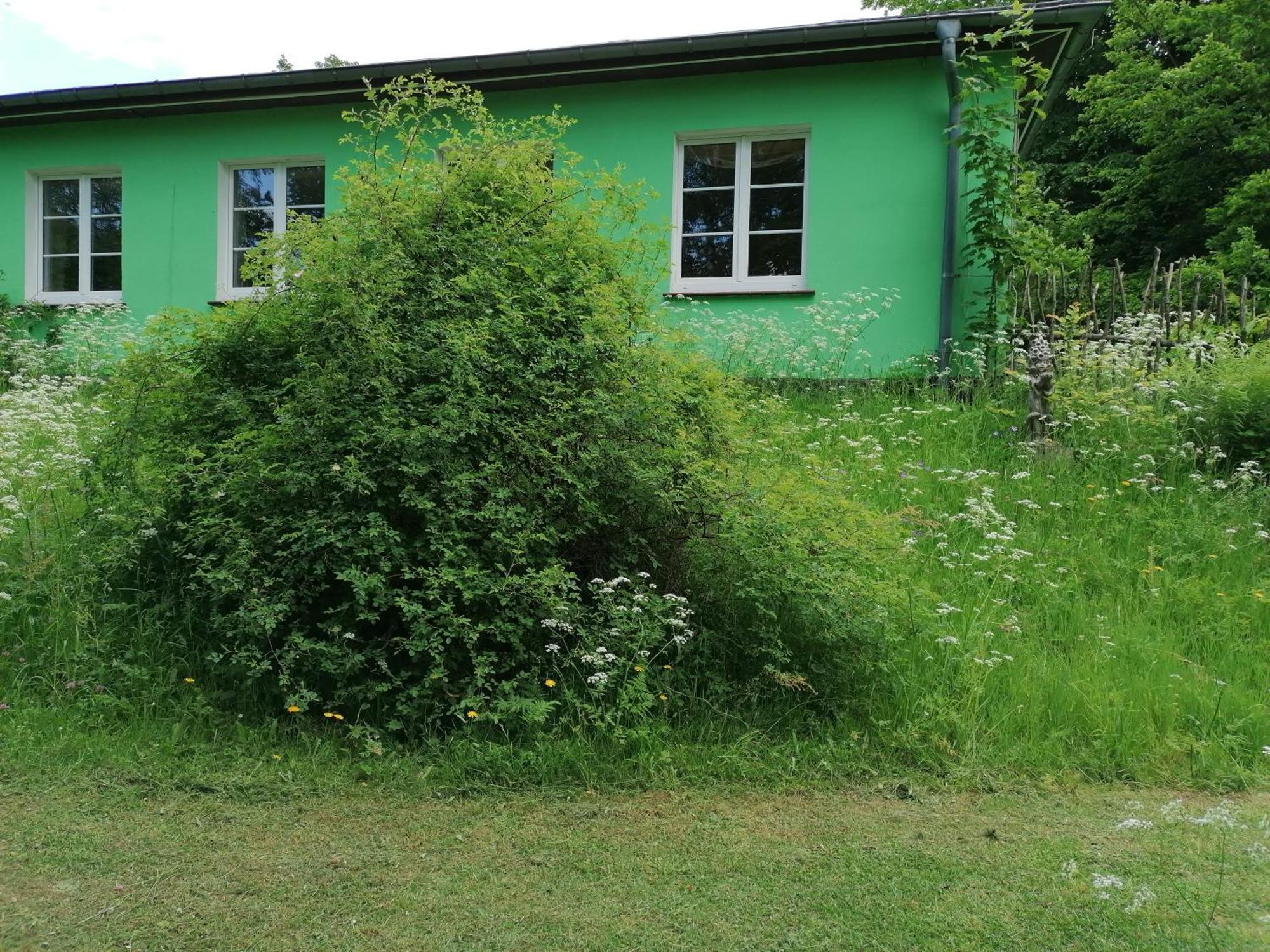 Hotel Kraeuterbaude Saupsdorf Exterior foto